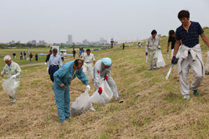 江戸川クリーン大作戦の写真２_2017